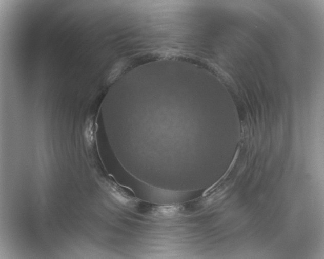 X0000075810479200609291350