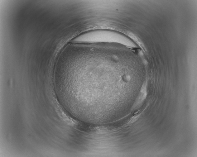 X0000075810481200609291349