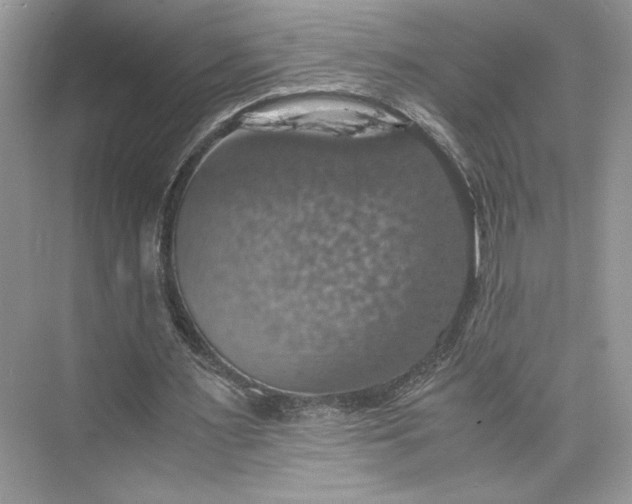 X0000075810483200609291349