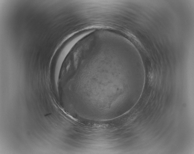 X0000075810484200609291349