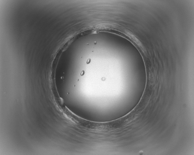 X0000075810485200609291349