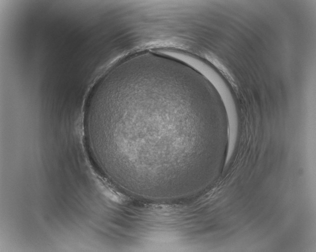 X0000075810486200609291349