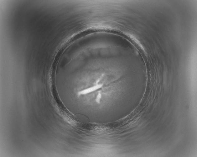 X0000075810487200609291349