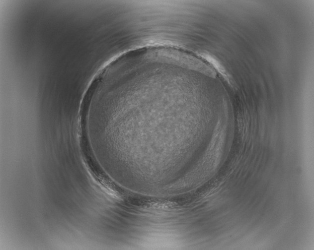 X0000075810488200609291349