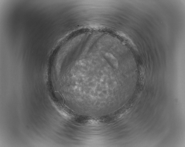 X0000075810496200609291349