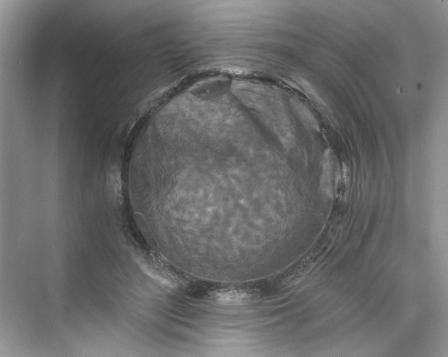 X0000075810500200609291349