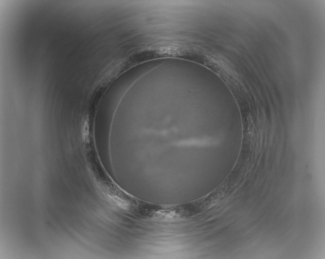 X0000075810502200609291349