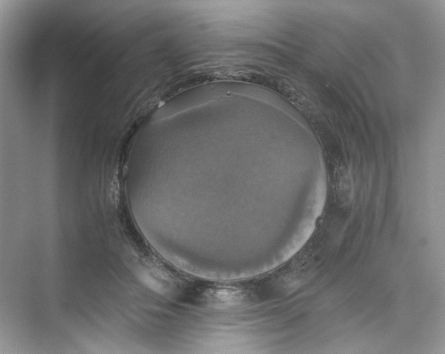 X0000075810506200609291348