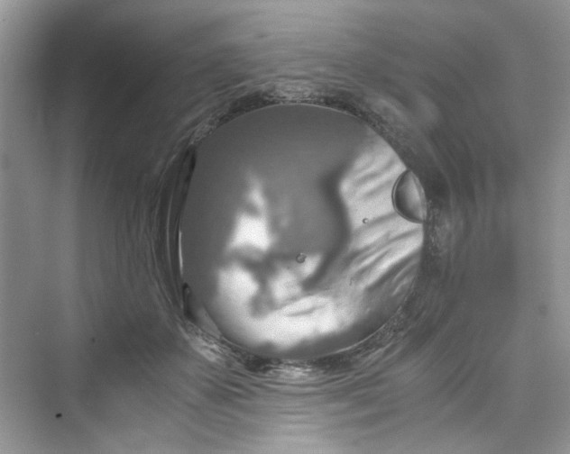 X0000075810507200609291348