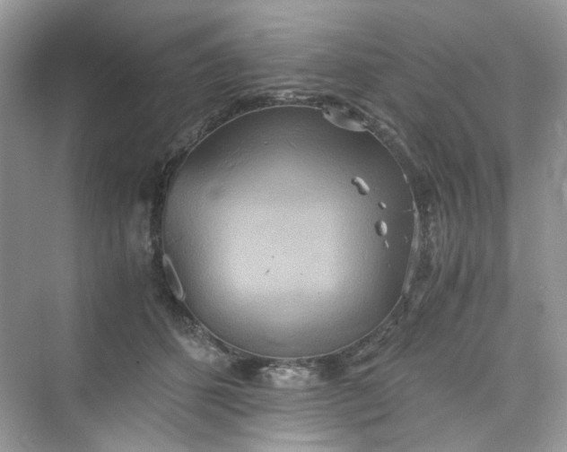 X0000075810512200609291348