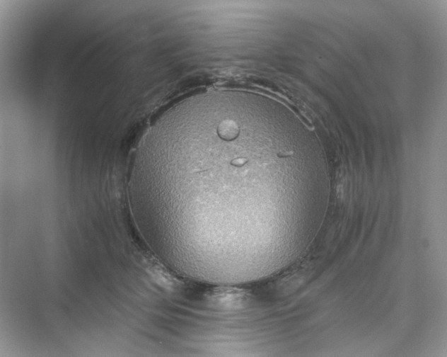 X0000075810514200609291348