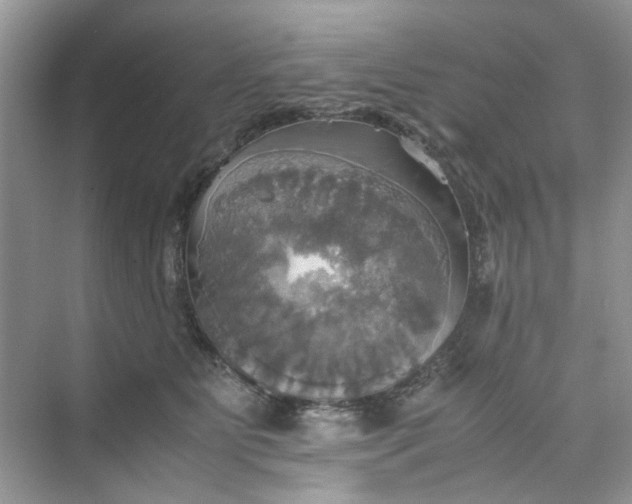 X0000075810515200609291348