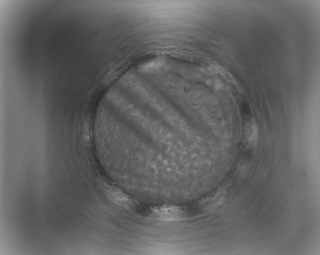 X0000075810517200609291348