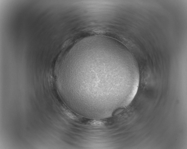 X0000075810518200609291348