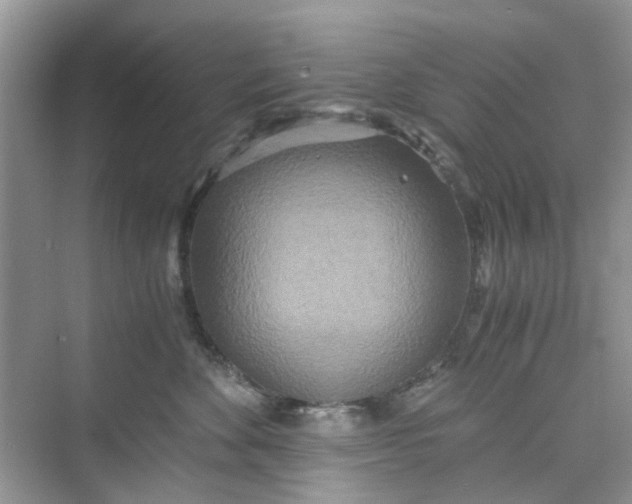 X0000075810524200609291348