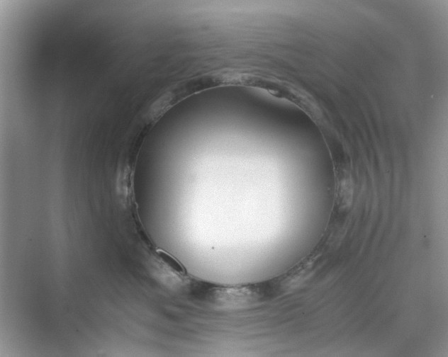 X0000075810525200609291348