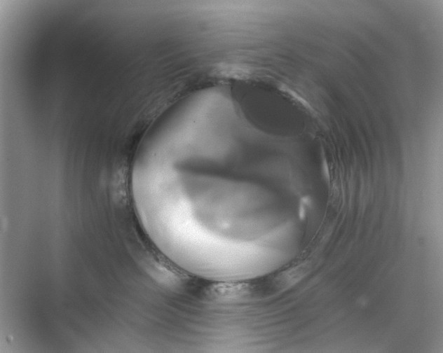 X0000075810526200609291348