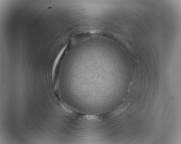 X0000075810528200609291348