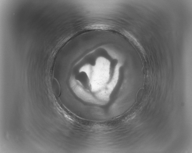 X0000075810529200609291347