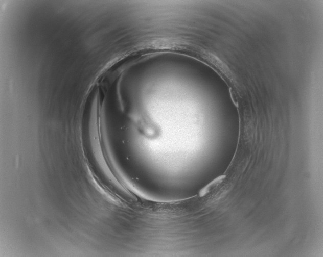 X0000075810530200609291347