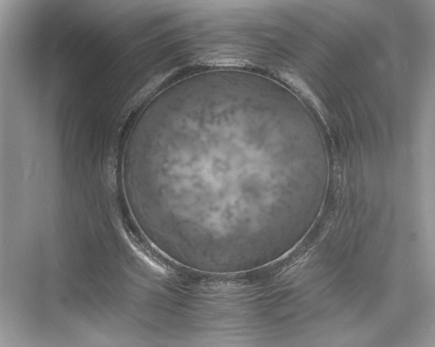 X0000075810533200609291347