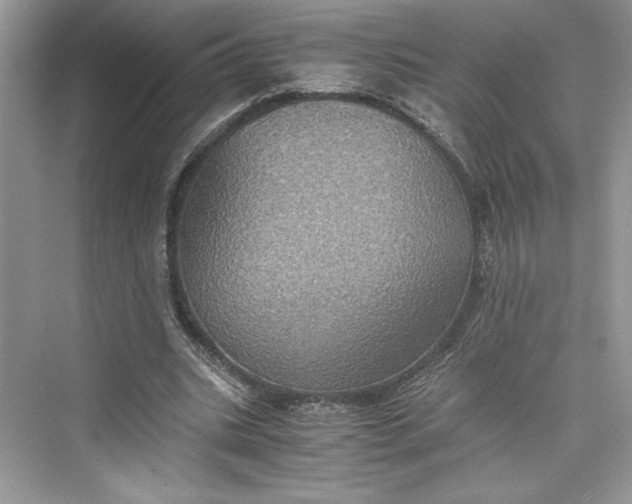 X0000075810535200609291347