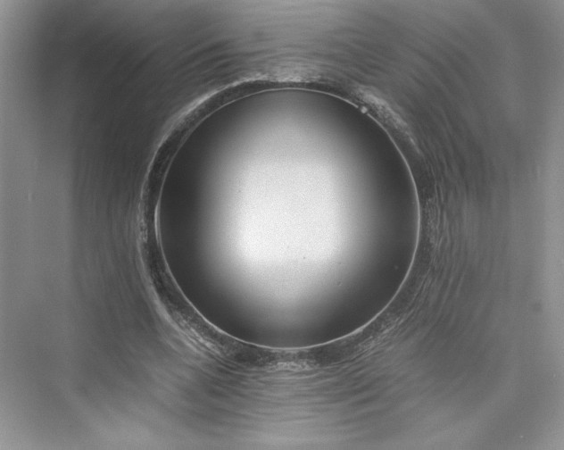 X0000075810536200609291347