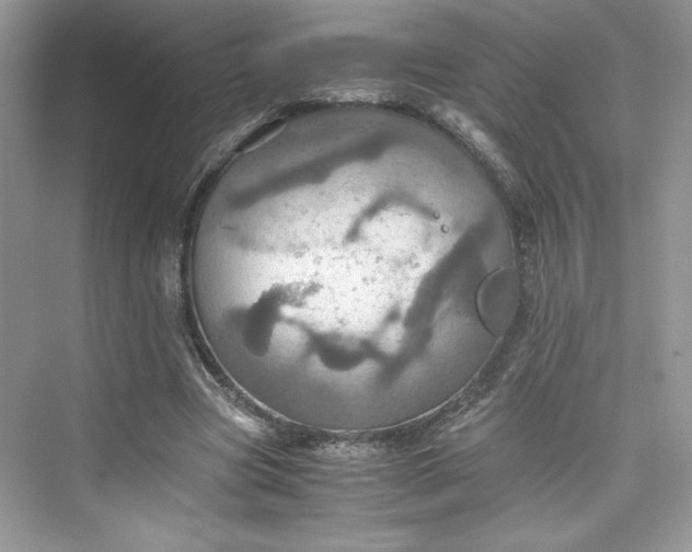 X0000075810537200609291347