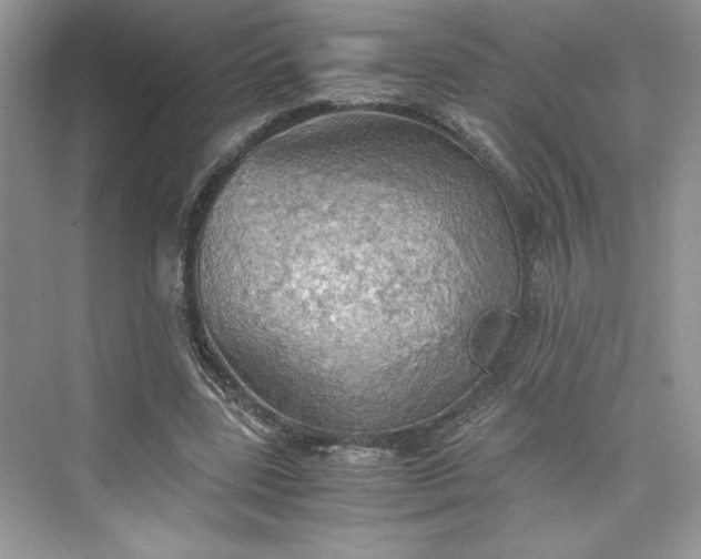 X0000075810539200609291347