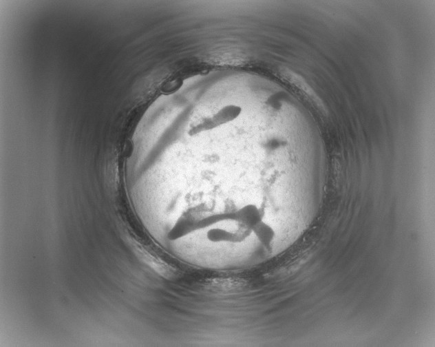 X0000075810541200609291347