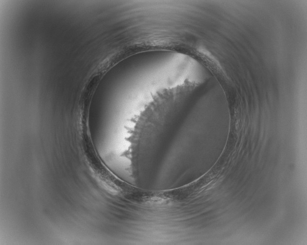 X0000075810542200609291347