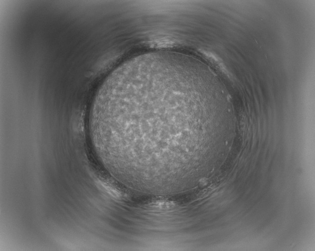 X0000075810543200609291347