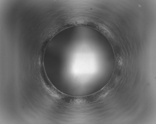 X0000075810546200609291348