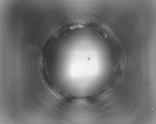 X0000075810548200609291348