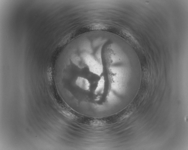 X0000075810549200609291348