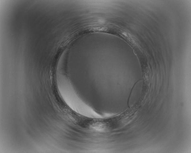 X0000075810551200609291348