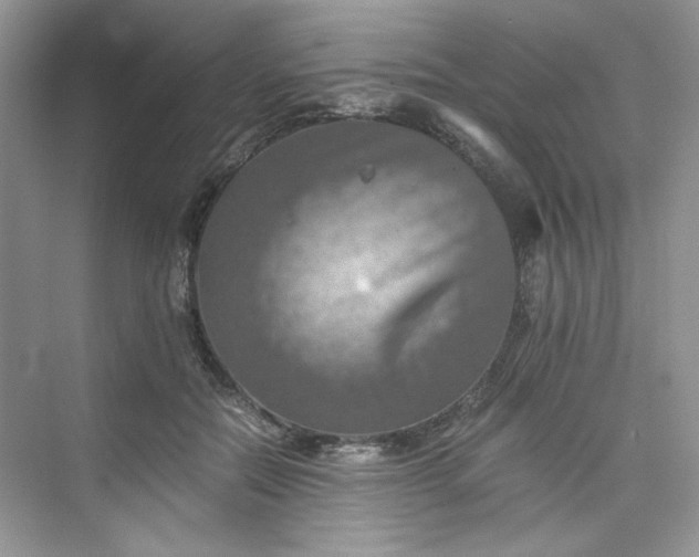 X0000075810554200609291348