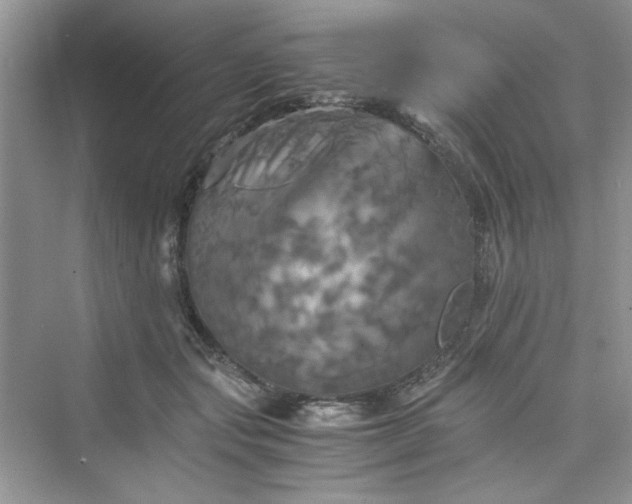 X0000075810557200609291348