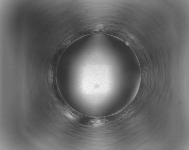 X0000075810558200609291348