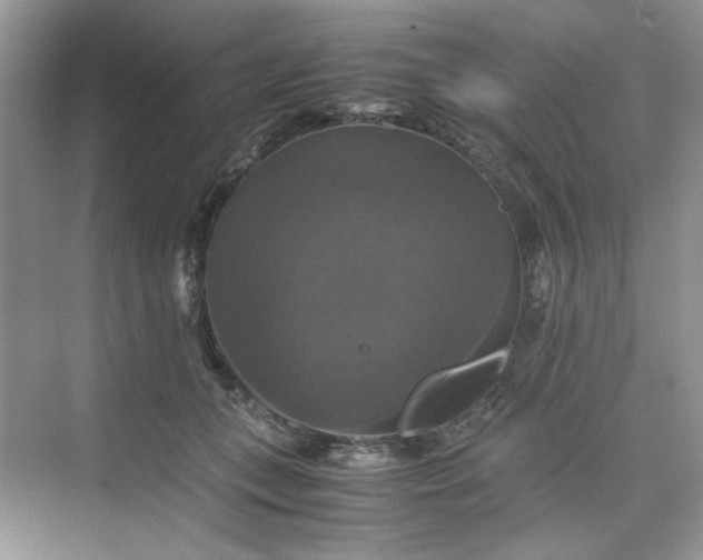 X0000075810559200609291348