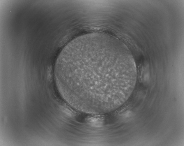 X0000075810563200609291348