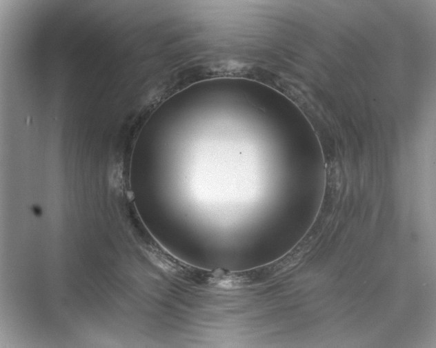 X0000075810564200609291348