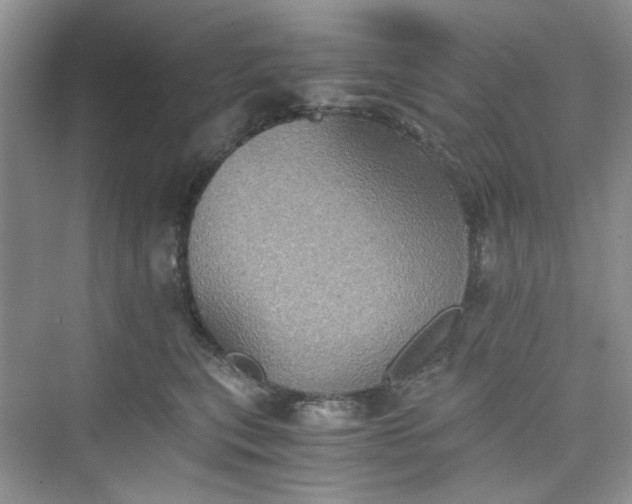 X0000075810567200609291348