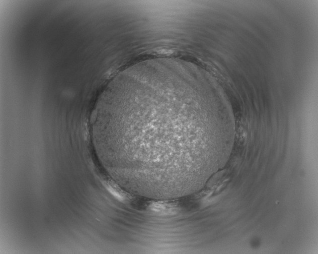 X0000075810568200609291348