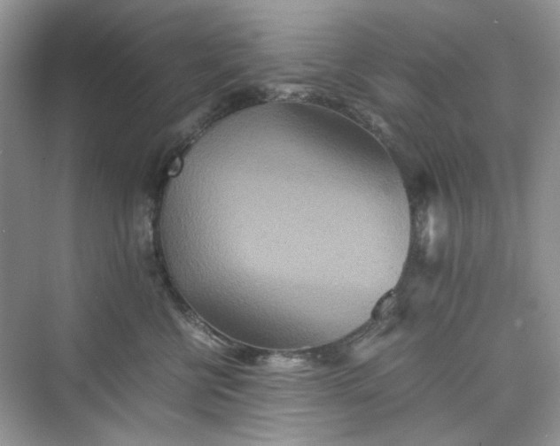 X0000075810570200609291348