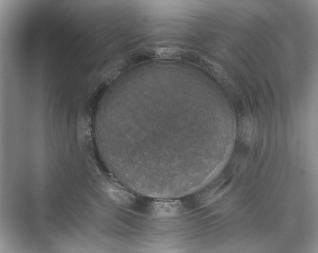 X0000075810571200609291348