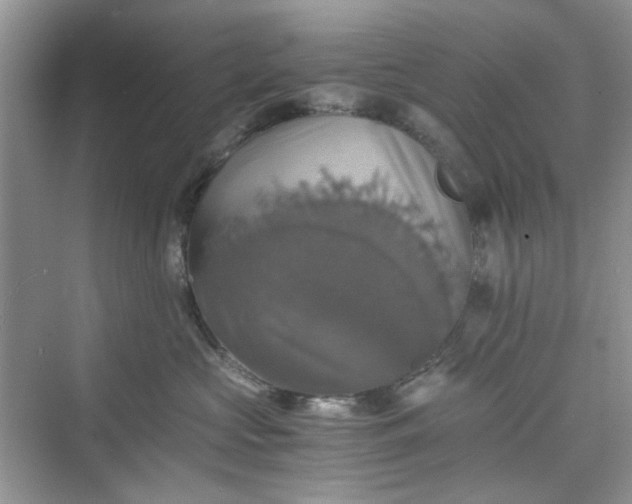 X0000075810573200609291348