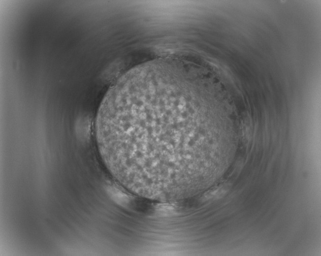 X0000075810574200609291348