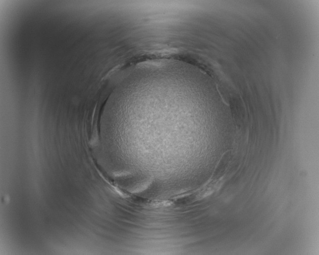 X0000075810576200609291348