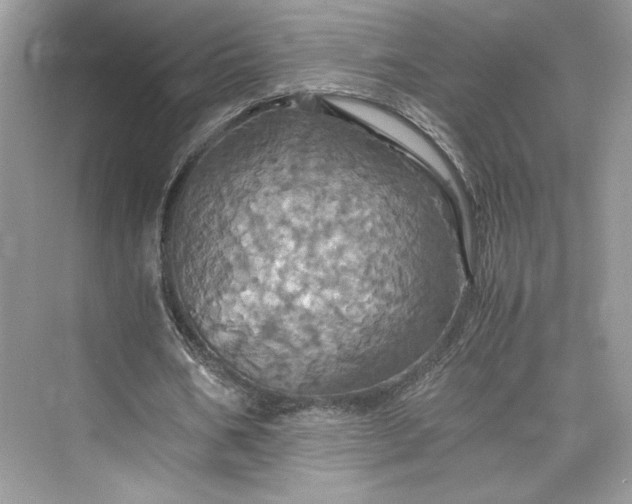 X0000075810578200609291347